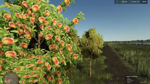 Zielonka Real Orchards Multifruit v1.0