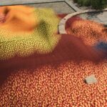 Zielonka Real Orchards Multifruit v1.04