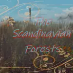 SCANDINAVIAN FOREST
