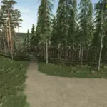 SCANDINAVIAN FOREST