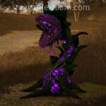 Halloween Monster Plant
