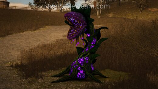 Halloween Monster Plant