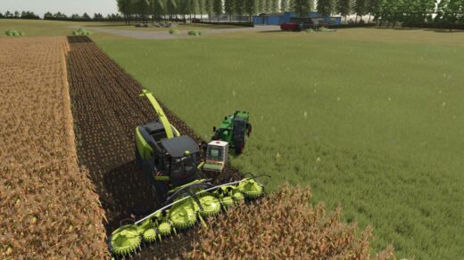 Lizard Bon Silage