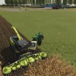 Lizard Bon Silage