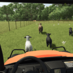 Animal Herding Lite4