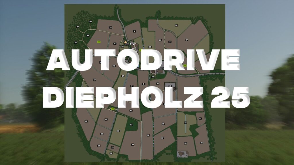 Autodrive Diepholz 25