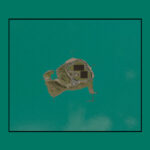Barehaven2