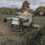 Corn Texture New Gen