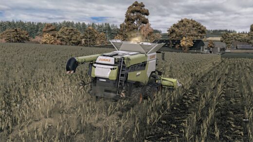 Corn Texture New Gen