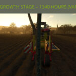 Faster Growing Trees