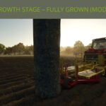 Faster Growing Trees3