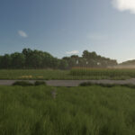 Hazelnut Farms