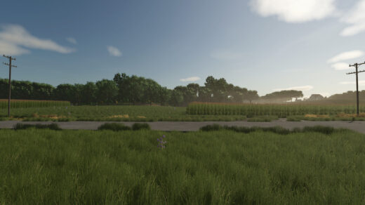 Hazelnut Farms