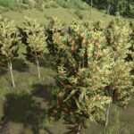 Hutan Pantai Real Orchards - Multifruit4