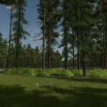 InTo The Woods3