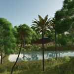 Lapacho Palms2