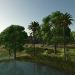 Lapacho Palms3