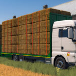 MAN TGX 6x2 Straw Bale3