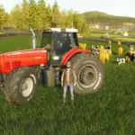 Massey Ferguson 6350-6360 (6000 Series) V1.0