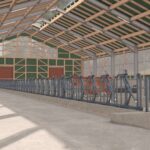 Modern Dutch cowshed4