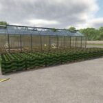 Pallet Storage2