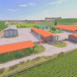 Rice Plains4