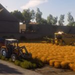 Shader Napo5