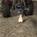 Truck Nuts