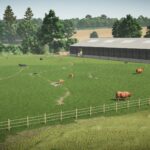 UK Large Beef Shed6