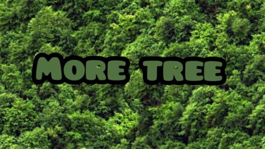 More trees