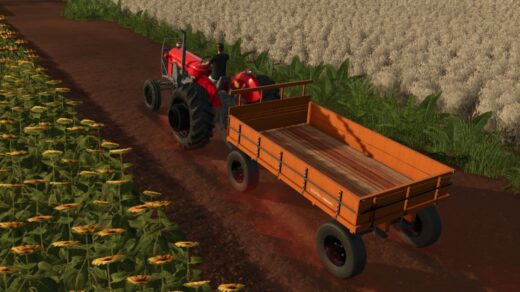Wooden trailer