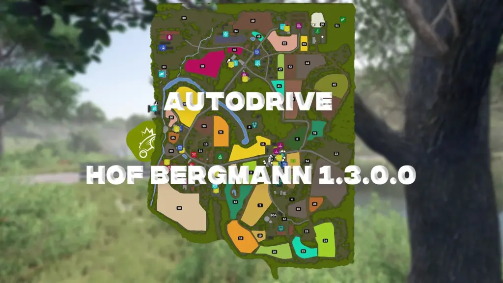 Autodrive Hof Bergmann v1.3