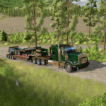 BWS Beavertail 55t2