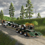 BWS Beavertail 55t3