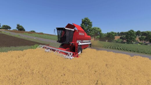 Bizon BS Z110