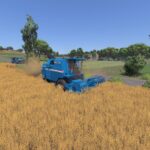 Bizon Dynamic2