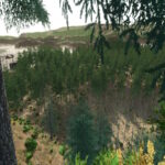 Blue Island Forest4
