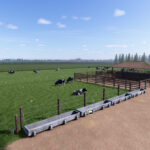 Brazilian Cow Barn