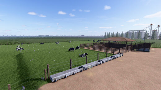 Brazilian Cow Barn