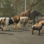 Dynamic Deco Animals3