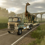 Dynamic Deco Animals4