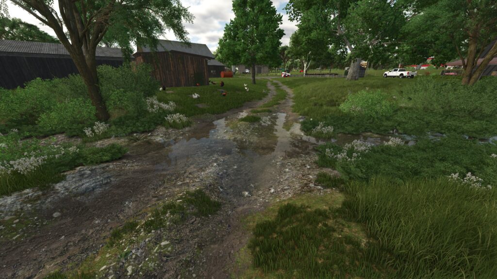 Elmcreek