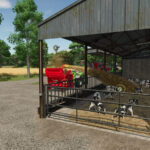Feret Calf Stall3