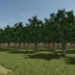Fruit orchards