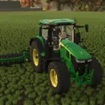 Holaras Stego WR v1.04