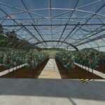 Industrial Greenhouse4