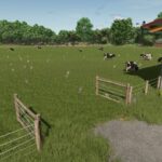 Large cowshed2