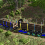 Lizard Short Wood Trailer Pack5
