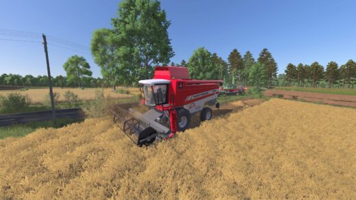 MF Beta 7260