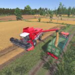 MF Beta 72604